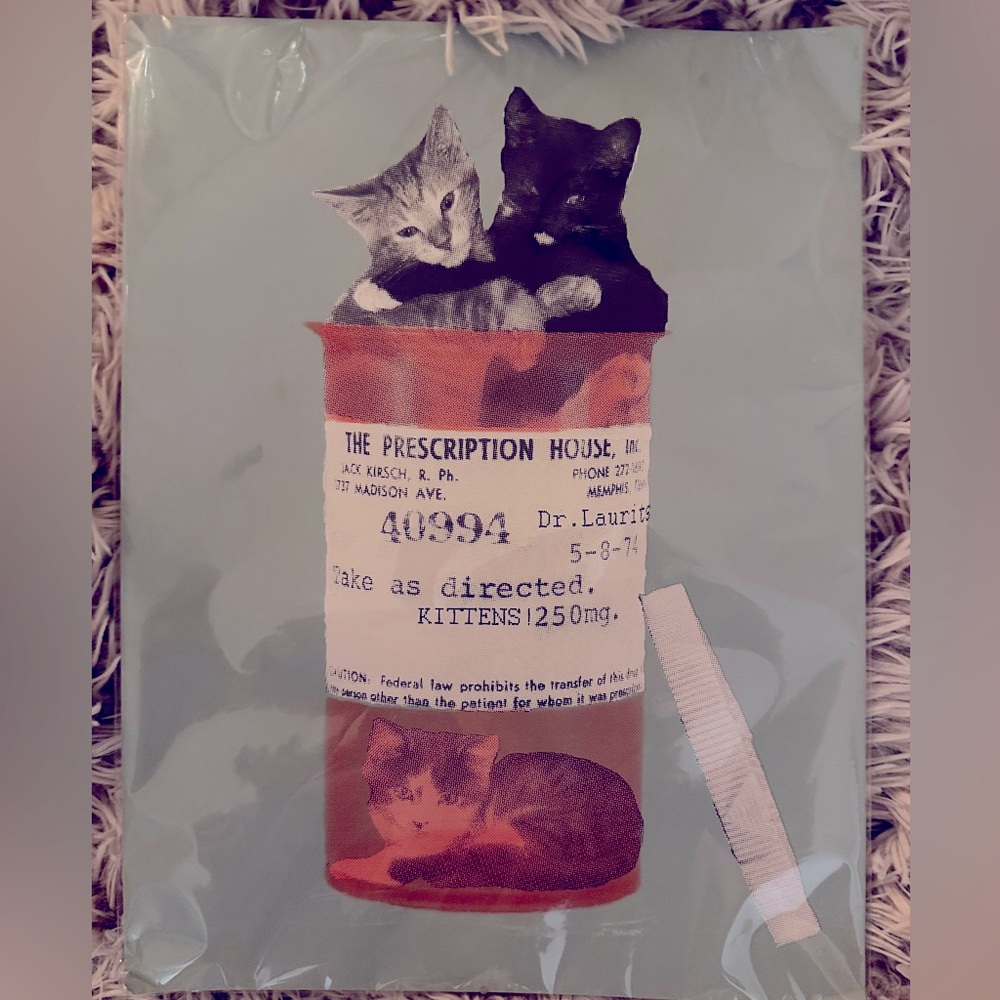 Rx cat- Jason Laurits original print